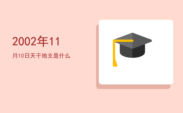 2002年11月10日天干地支是什么