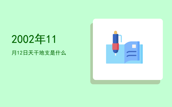2002年11月12日天干地支是什么