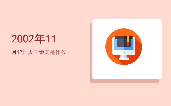 2002年11月17日天干地支是什么