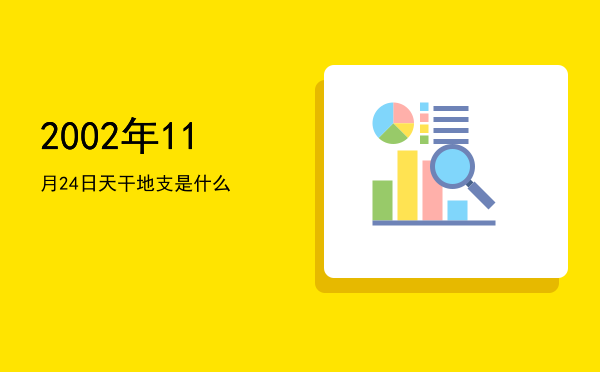2002年11月24日天干地支是什么
