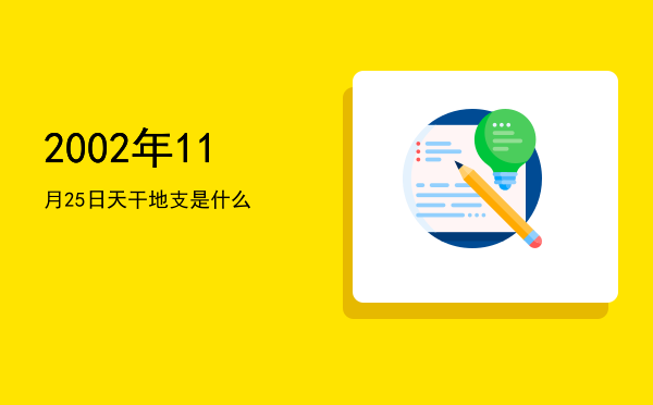 2002年11月25日天干地支是什么