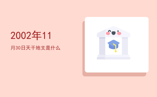 2002年11月30日天干地支是什么