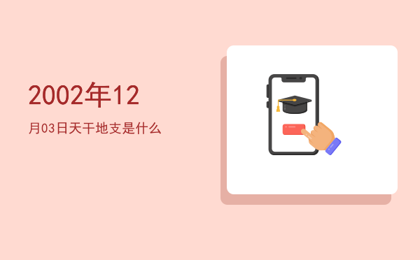 2002年12月03日天干地支是什么