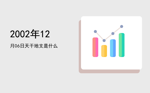 2002年12月06日天干地支是什么