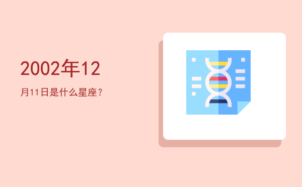 2002年12月11日是什么星座？