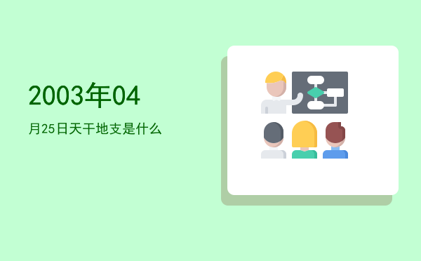 2003年04月25日天干地支是什么