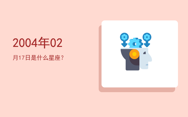2004年02月17日是什么星座？