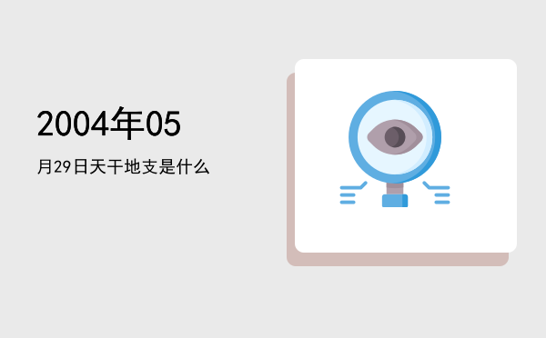 2004年05月29日天干地支是什么