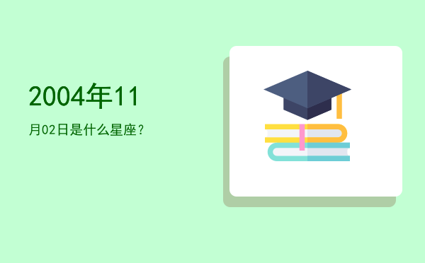 2004年11月02日是什么星座？