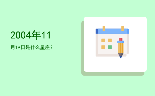 2004年11月19日是什么星座？
