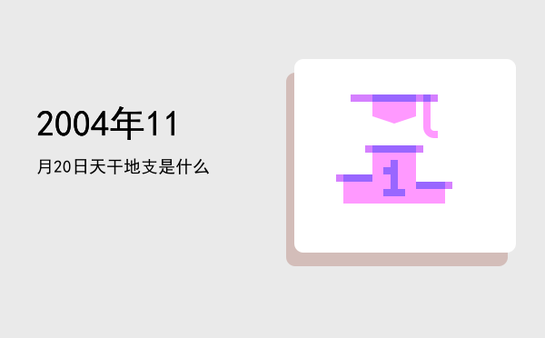 2004年11月20日天干地支是什么