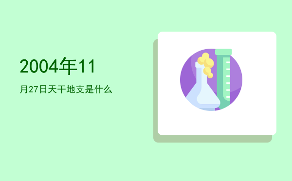 2004年11月27日天干地支是什么