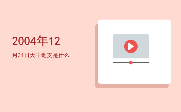 2004年12月31日天干地支是什么