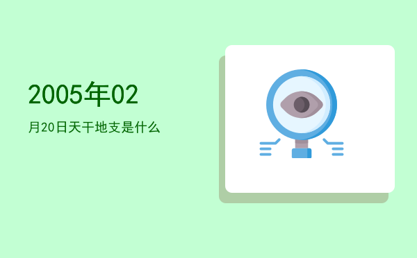 2005年02月20日天干地支是什么