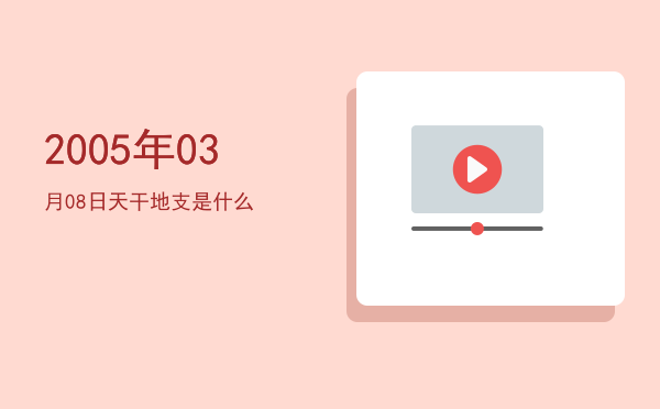 2005年03月08日天干地支是什么