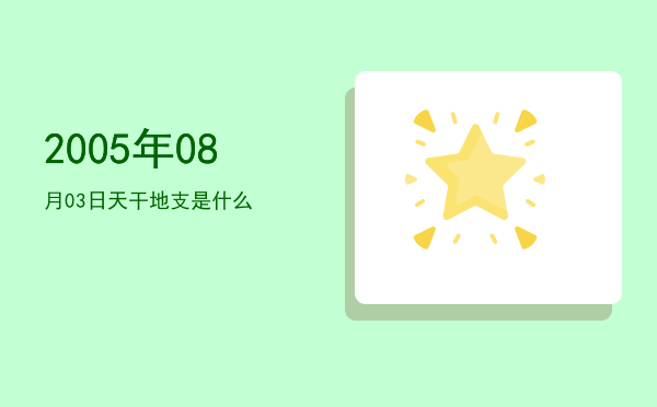 2005年08月03日天干地支是什么