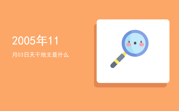 2005年11月03日天干地支是什么