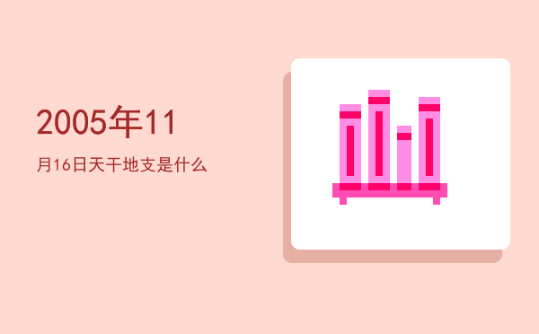 2005年11月16日天干地支是什么