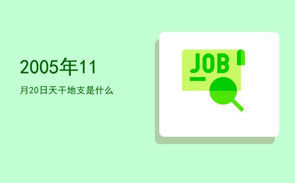 2005年11月20日天干地支是什么