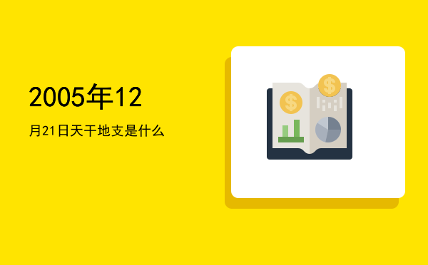 2005年12月21日天干地支是什么