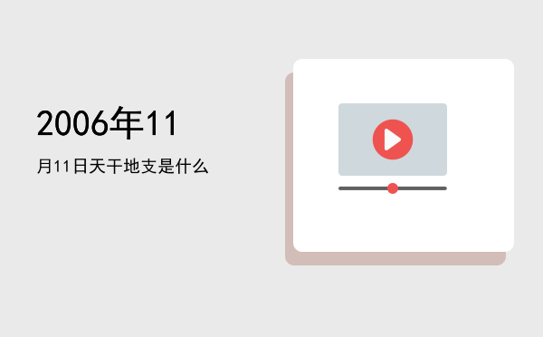 2006年11月11日天干地支是什么