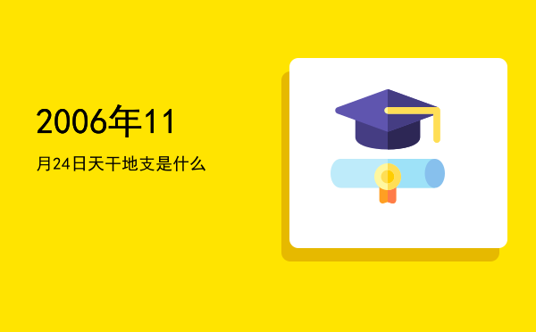 2006年11月24日天干地支是什么