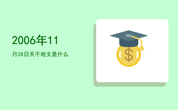 2006年11月28日天干地支是什么