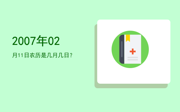 2007年02月11日农历是几月几日?