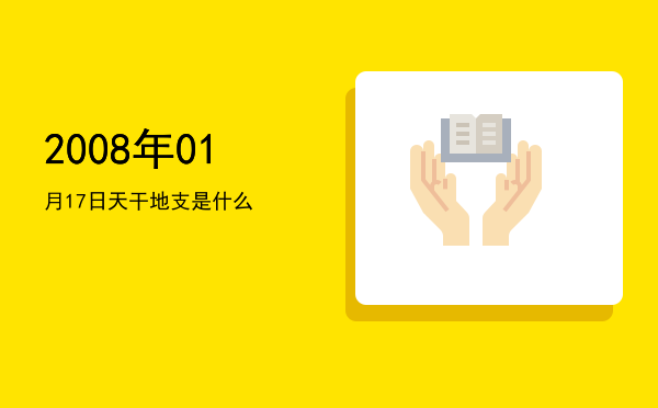 2008年01月17日天干地支是什么
