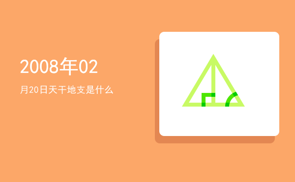 2008年02月20日天干地支是什么