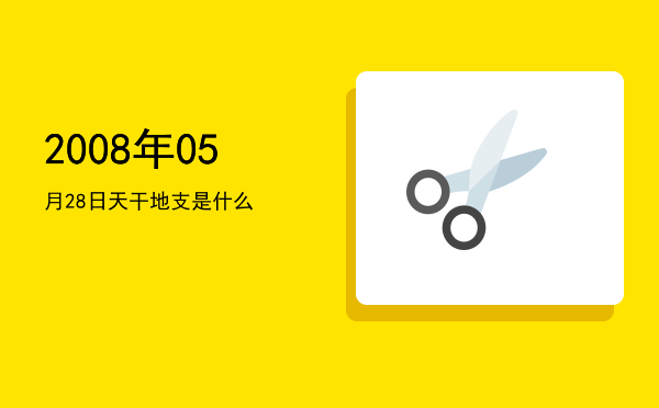 2008年05月28日天干地支是什么