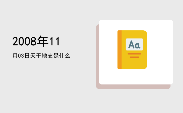2008年11月03日天干地支是什么