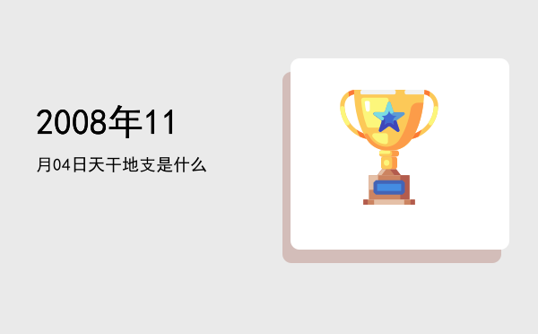 2008年11月04日天干地支是什么