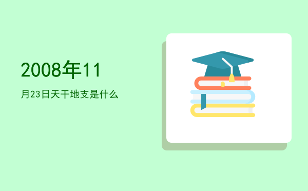 2008年11月23日天干地支是什么