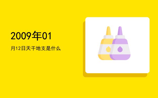2009年01月12日天干地支是什么