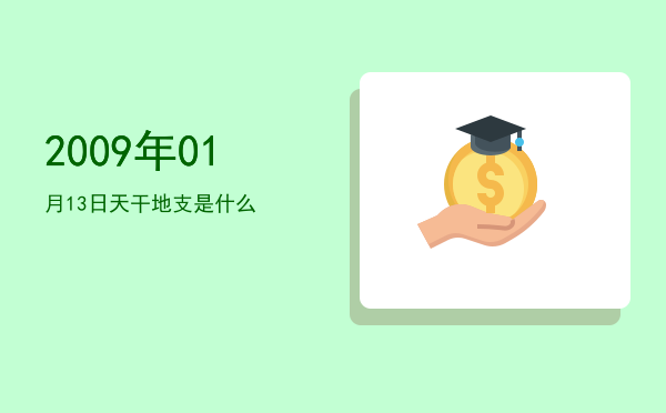2009年01月13日天干地支是什么