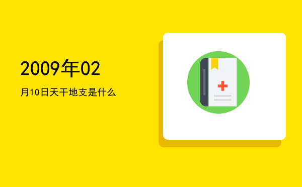 2009年02月10日天干地支是什么