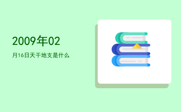2009年02月16日天干地支是什么