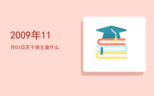 2009年11月03日天干地支是什么