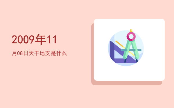 2009年11月08日天干地支是什么