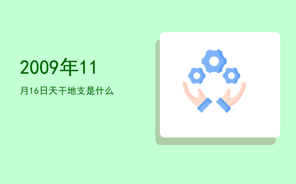 2009年11月16日天干地支是什么
