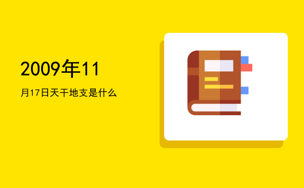 2009年11月17日天干地支是什么
