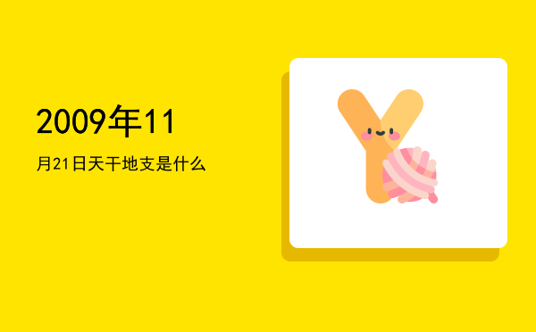 2009年11月21日天干地支是什么
