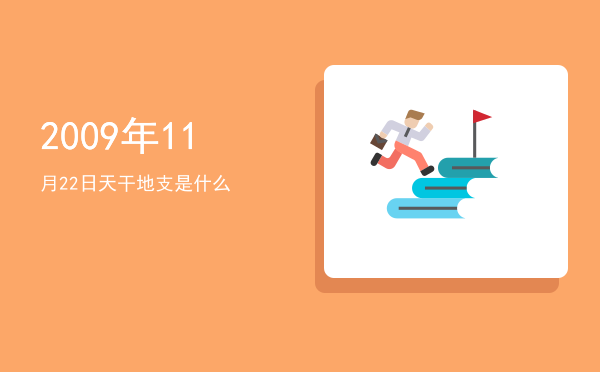 2009年11月22日天干地支是什么