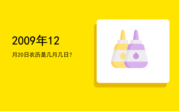 2009年12月20日农历是几月几日?