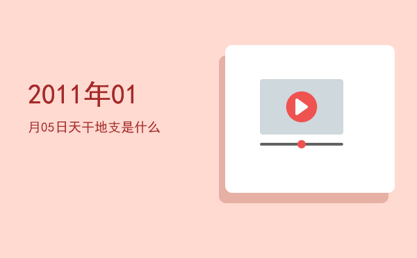 2011年01月05日天干地支是什么