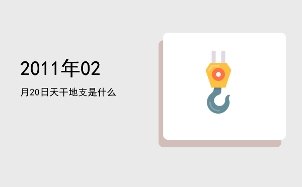 2011年02月20日天干地支是什么