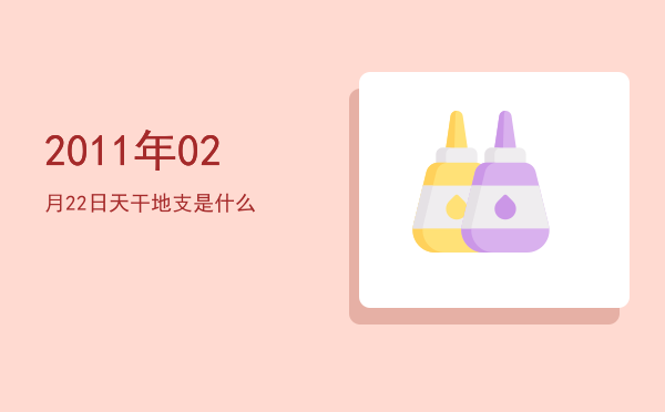 2011年02月22日天干地支是什么