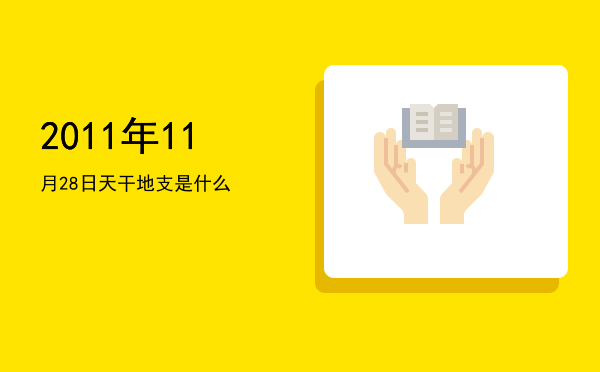 2011年11月28日天干地支是什么