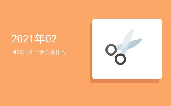2021年02月20日天干地支是什么